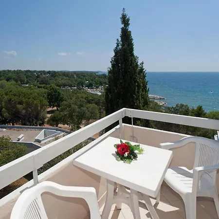 Delfin Plava Laguna 2*