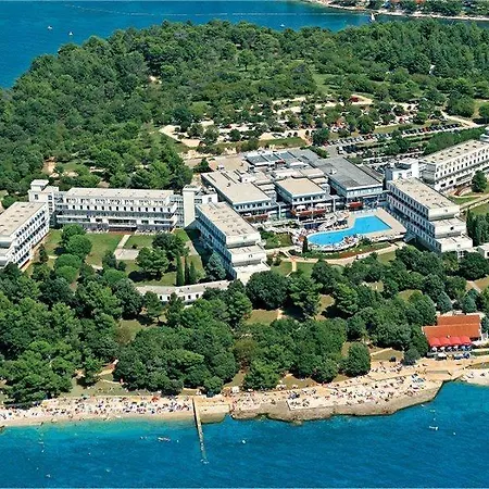 Delfin Plava Laguna Mugeba