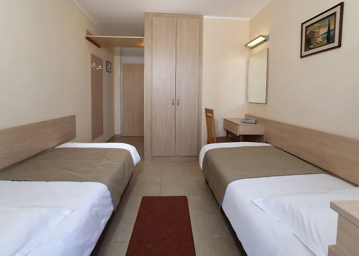 Delfin Plava Laguna Mugeba