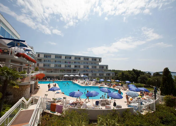 Hotel Delfin Plava Laguna 2*