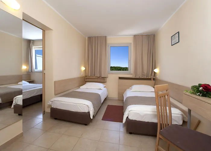 Delfin Plava Laguna 2*