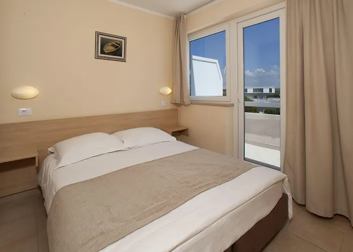 Delfin Plava Laguna Mugeba