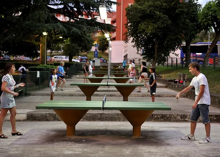 Delfin Plava Laguna Mugeba