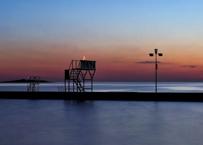 Delfin Plava Laguna Mugeba