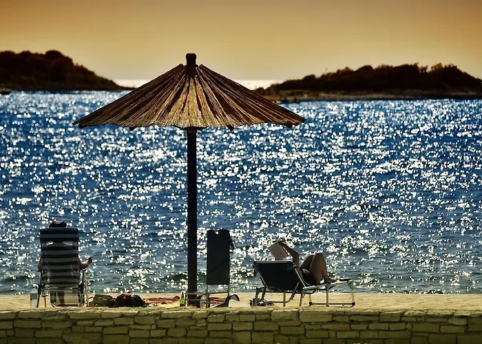 Hotel Delfin Plava Laguna 2*