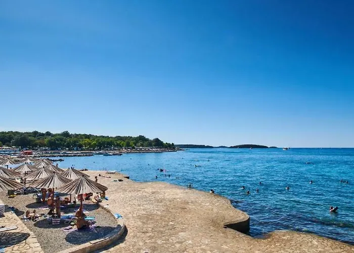 Delfin Plava Laguna Hotel Mugeba