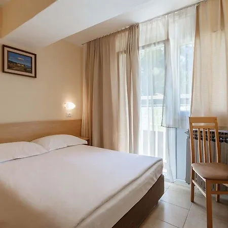 Delfin Plava Laguna Mugeba