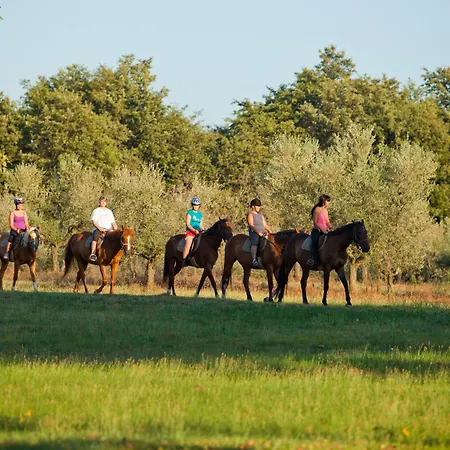 Hotel Delfin Plava Laguna Mugeba