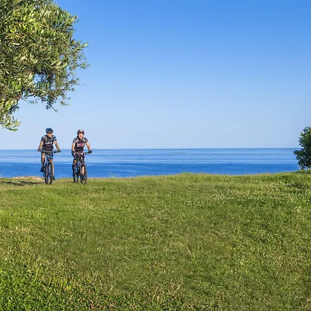 Delfin Plava Laguna 2*