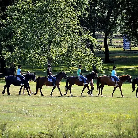 Hotel Delfin Plava Laguna