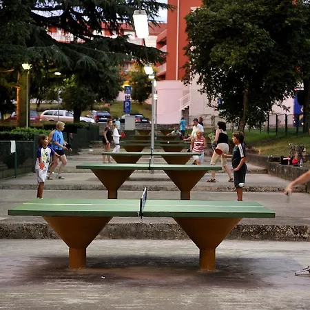 Delfin Plava Laguna Mugeba