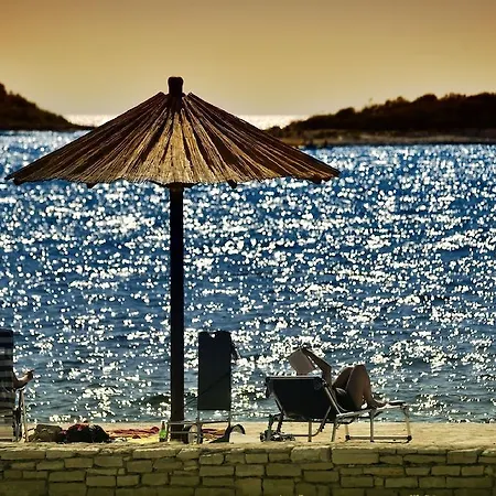 Hotel Delfin Plava Laguna 2*