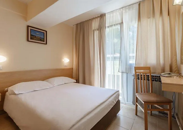 Delfin Plava Laguna Mugeba