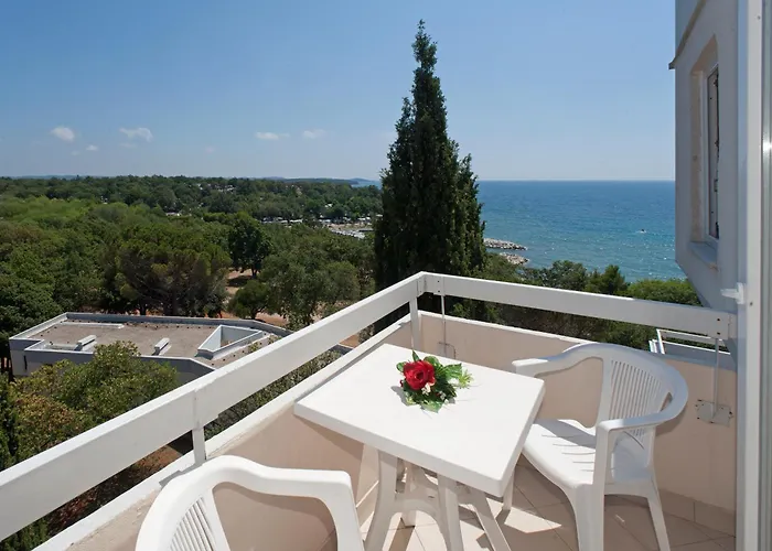 Delfin Plava Laguna 2*