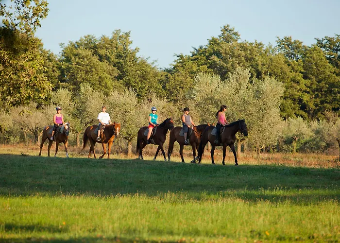 מלון Delfin Plava Laguna Mugeba