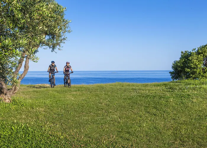 Delfin Plava Laguna 2*