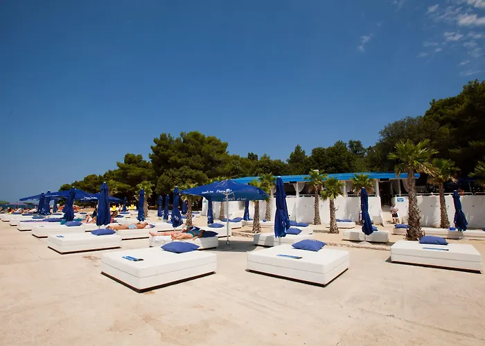 מלון Delfin Plava Laguna 2*