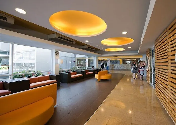 Delfin Plava Laguna Mugeba