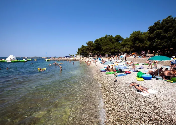 Delfin Plava Laguna מלון