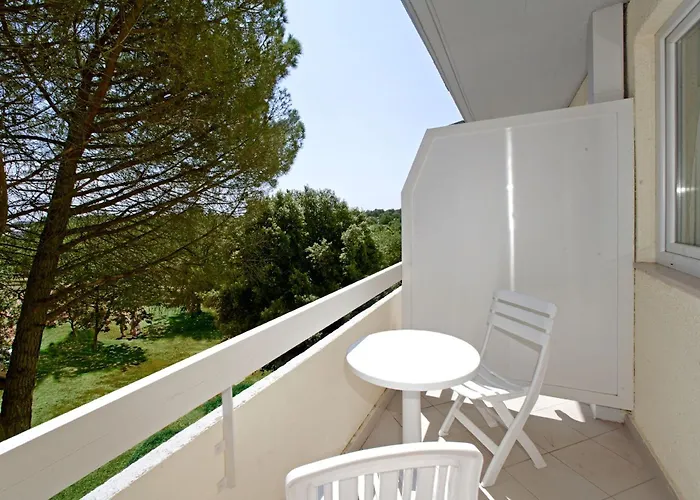 Delfin Plava Laguna מלון