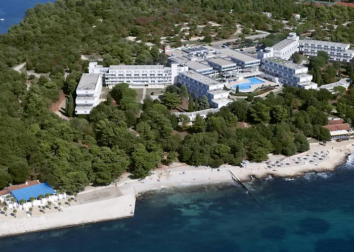 Delfin Plava Laguna Mugeba