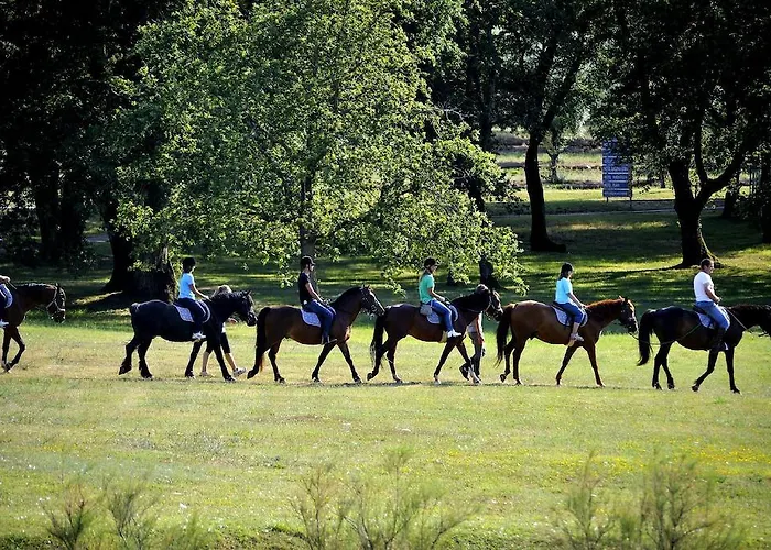 מלון Delfin Plava Laguna